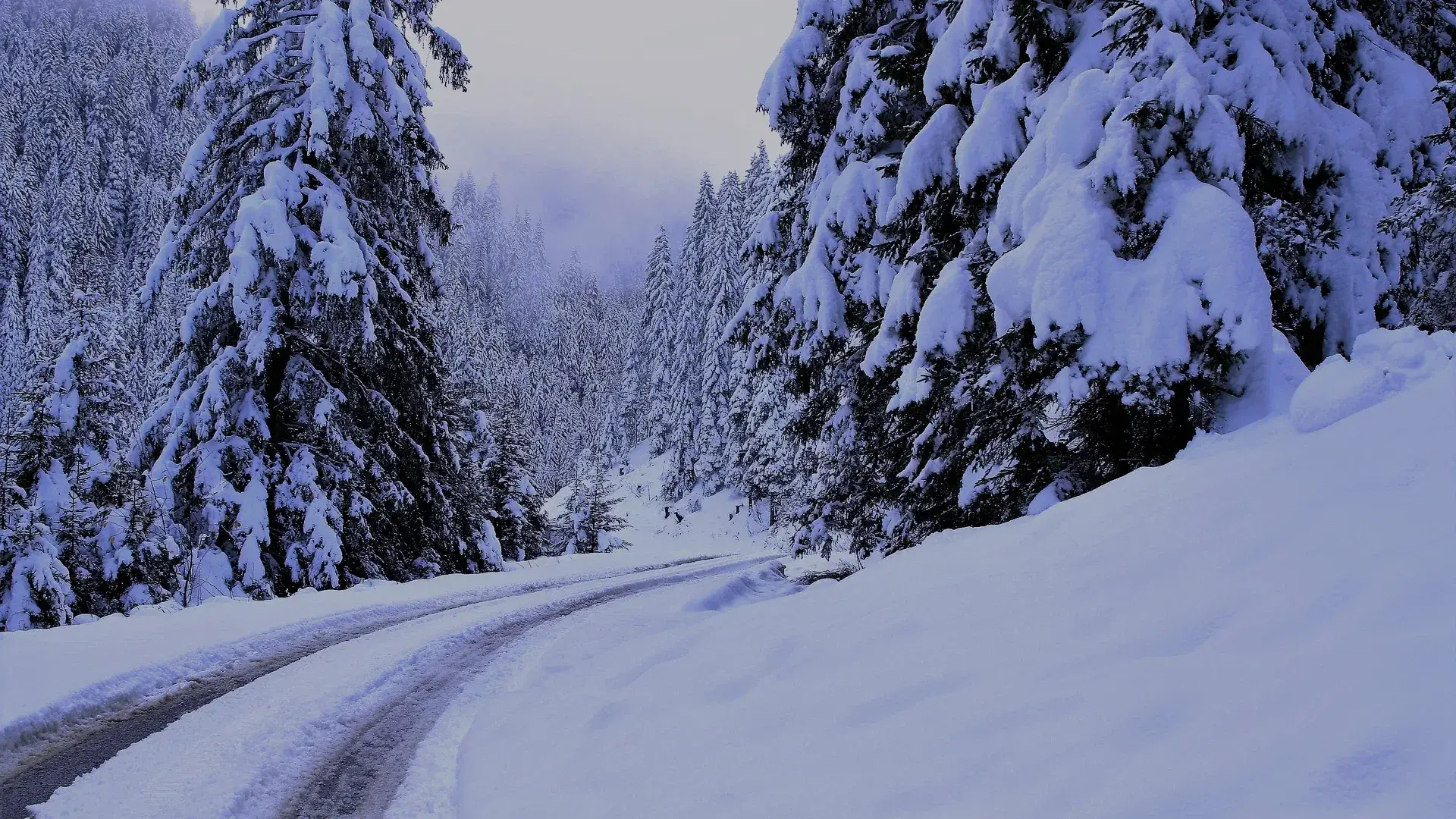 Vinterväg genom snötäckt skog i Jokkmokks kommun